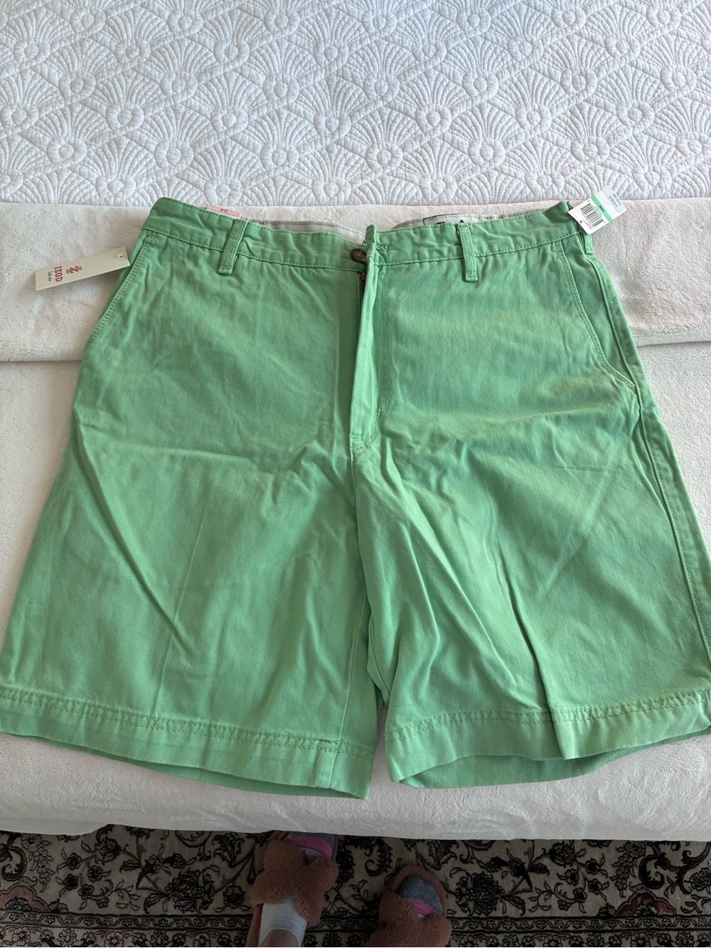Men's Casual Mint Green Cotton Shorts-IZOD